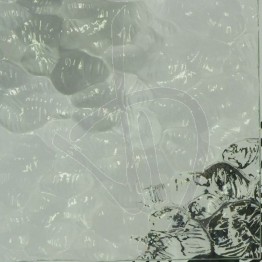 imprime-en-verre-53