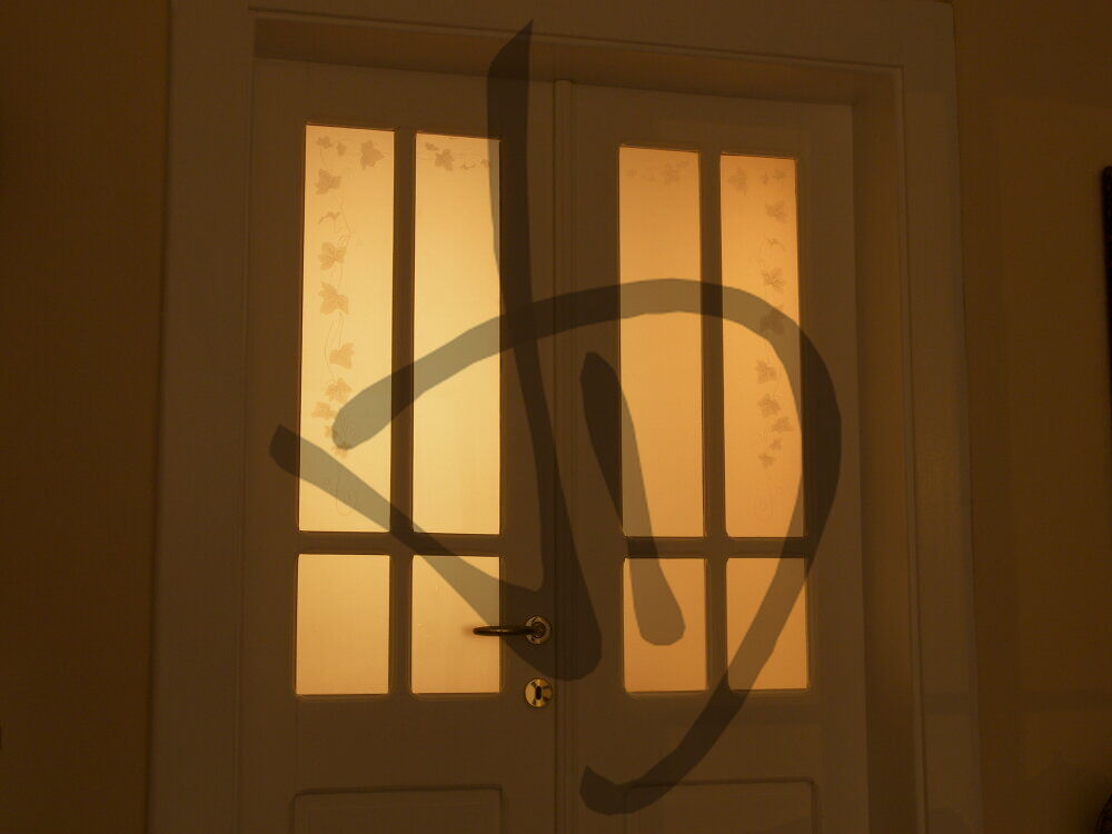 Produits sur mesure - Portes en verre sur mesure - Verres décorés pour portes - Verre décoré sur mesure pour portes avec lierre