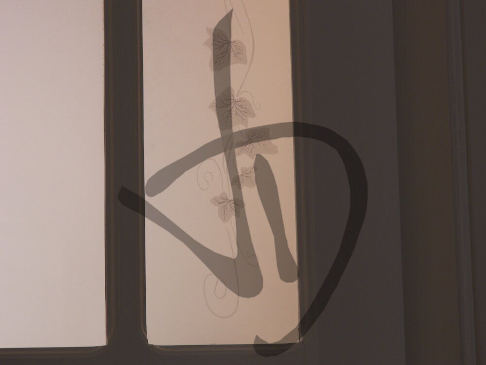 Prodotti su misura - Porte in vetro su misura - Vetri decorati per porte - Vetri decorati per porte con edera